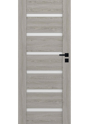 Drzwi Apus Moderno Doors - widok z przodu