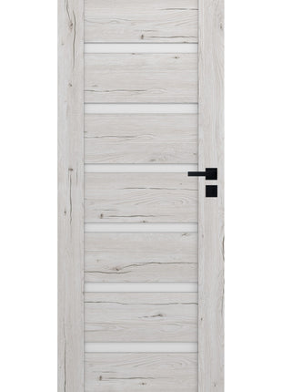 Drzwi Apus Moderno Doors - widok w aranżacji