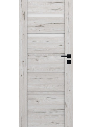 Drzwi Apus Moderno Doors - widok w aranżacji