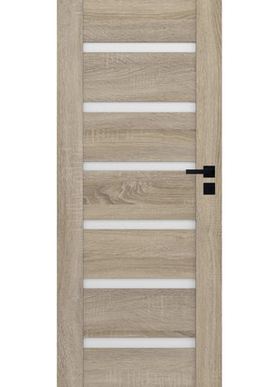Drzwi Apus Moderno Doors - kolor okleiny
