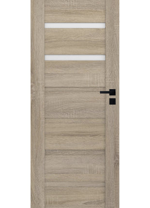 Drzwi Apus Moderno Doors - kolor okleiny