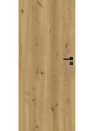 Drzwi Canis Moderno Doors - widok z przodu