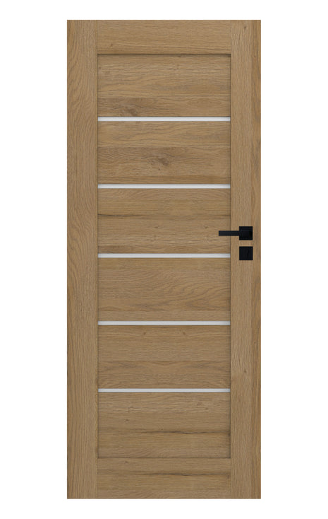 Drzwi Chicago Moderno Doors - widok w aranżacji