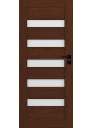 Drzwi Credis Moderno Doors - widok z przodu