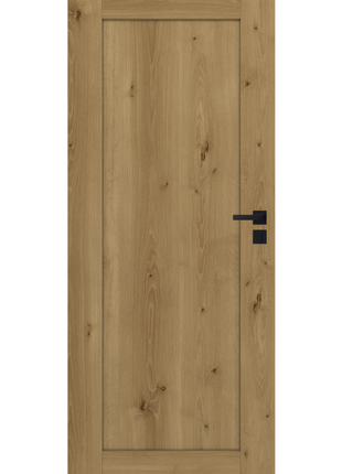 Drzwi Elegance Moderno Doors - widok w aranżacji