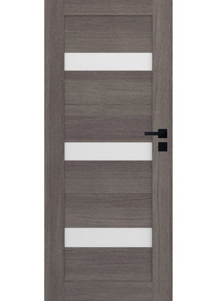 Drzwi Mensa Moderno Doors - widok w aranżacji