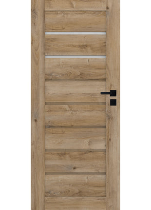 Drzwi Minoris Moderno Doors - widok w aranżacji
