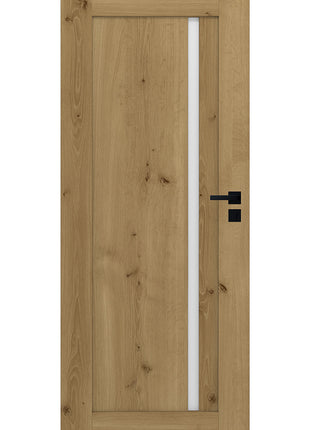 Drzwi Suzano Moderno Doors - widok z przodu