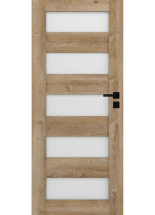 Drzwi Virgo Moderno Doors - widok w aranżacji