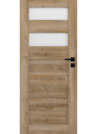 Drzwi Virgo Moderno Doors - widok w aranżacji