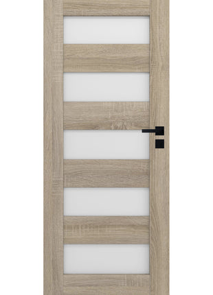 Drzwi Virgo Moderno Doors - widok z przodu