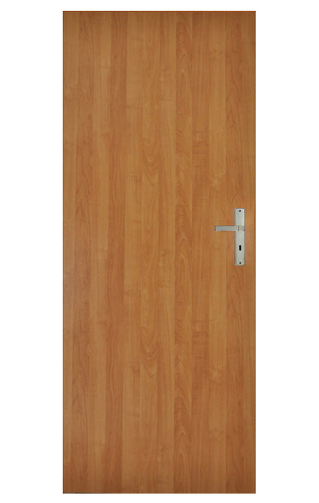 Drzwi wewnętrzne Wega pełne Moderno Doors